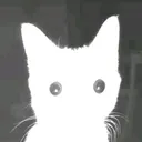 @f1rstpr1nce