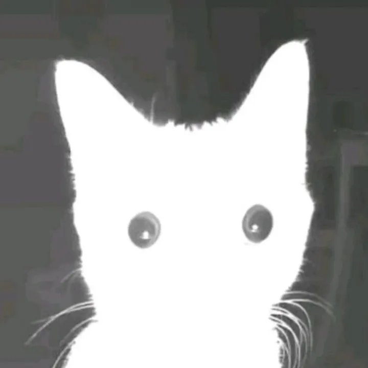 @f1rstpr1nce