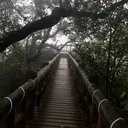 @alimelclips