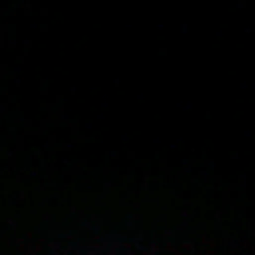 zyyl5