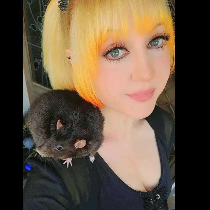 ratz_furever
