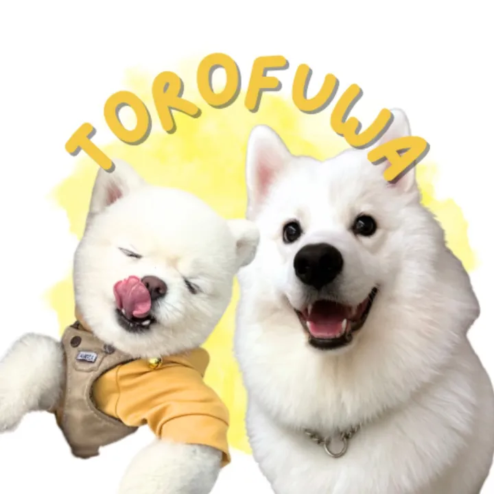 torofuwachun