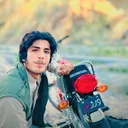 @mengal31379