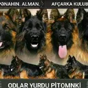 @odlar_yurdu_pitomniki