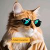 estilo.fucinho
