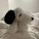 @dabinohhh