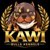 kawibulls