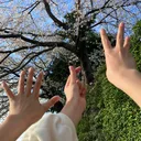 @aoi2127