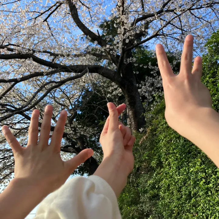 @aoi2127