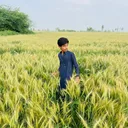 @hussnainsaqib.119