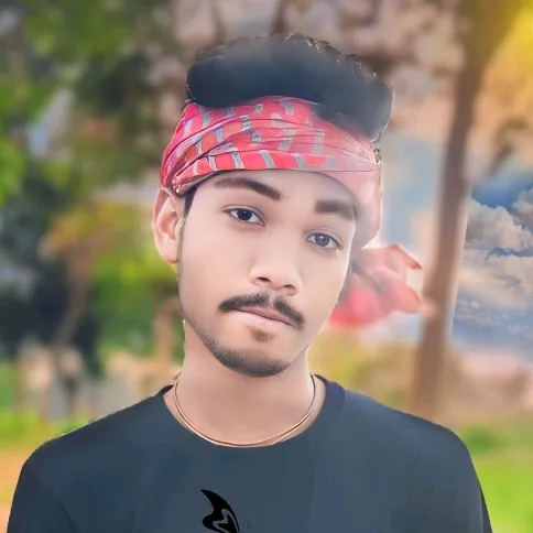 sumolbabusumol
