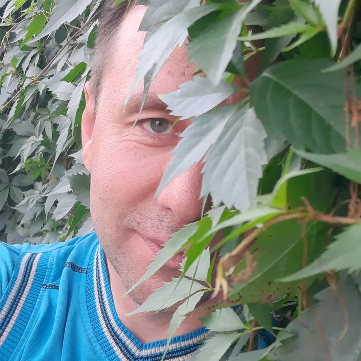 dmitry_sw