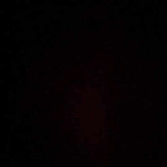 aurori411