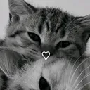 @esmeraldafds65