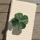 @dandelion_0916