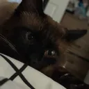 @itsjess_brown