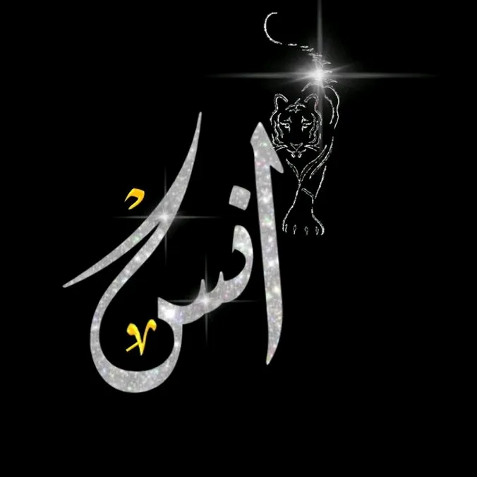 anasgour0000