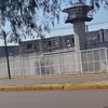 fernandahpmbrt