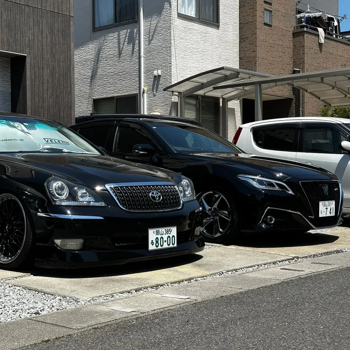 majesta.8000