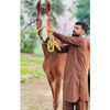 uzairch06