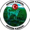 akdemkangal
