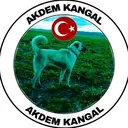@akdemkangal