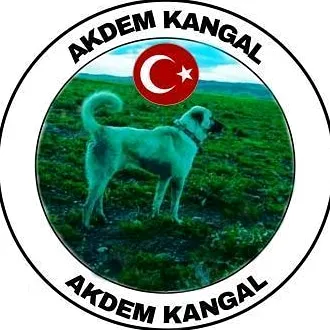 akdemkangal