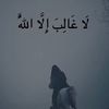 _hamzoo_313