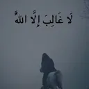 @_hamzoo_313
