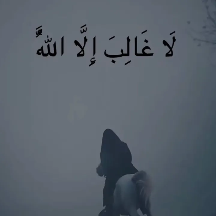 @_hamzoo_313