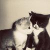 golovin_dl