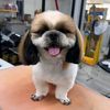 mathi_1181