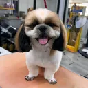 @mathi_1181