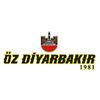 ozdiyarbakir1981
