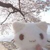 mewmaxxin