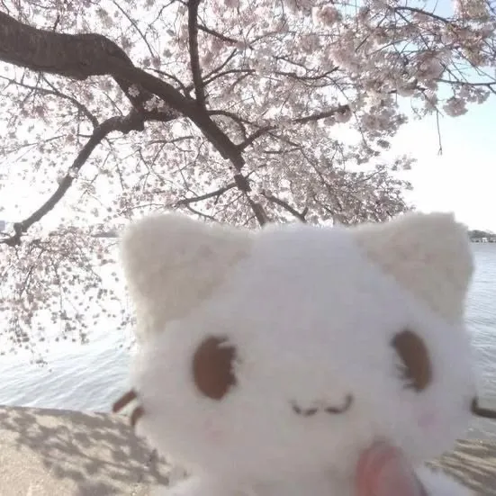 mewmaxxin