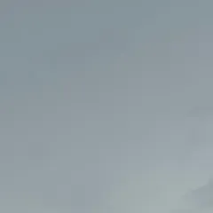 @mayfair.news