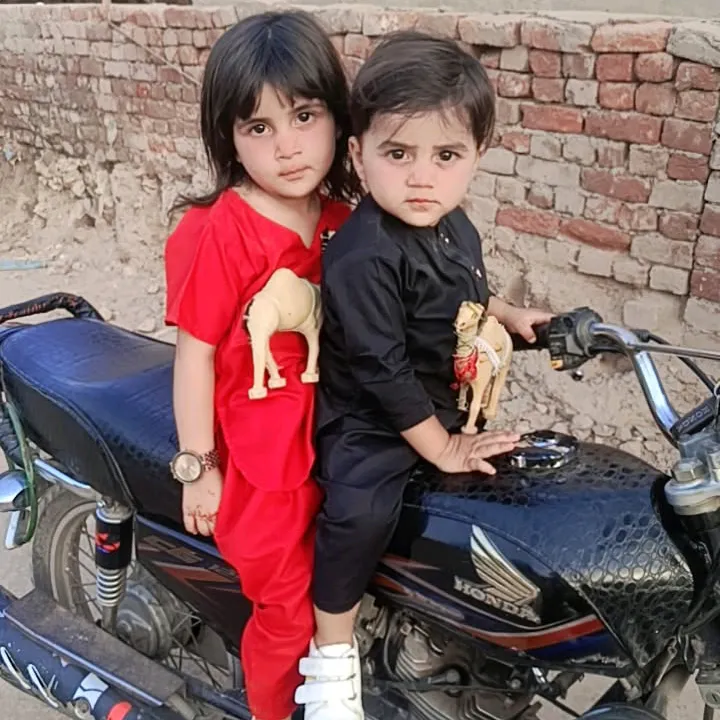 @shamirajput915