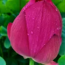@ngocoanh5162