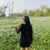 punamthapa300