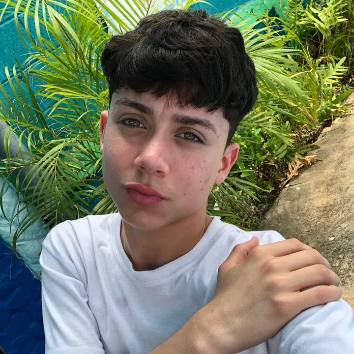 sebsgxv