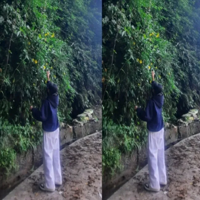 nispaksha_888