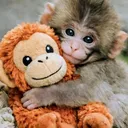 @dak_noor256