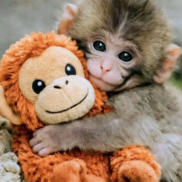 @dak_noor256