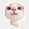 aly.bloxx_
