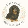 onatahdachshunds