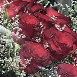 flowers101105
