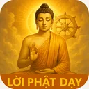 @loiphatday348