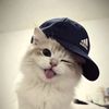ilaaa_ey