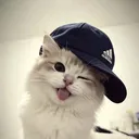 @ilaaa_ey